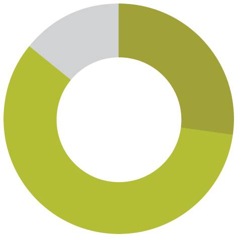 Customer Service Pie Graph