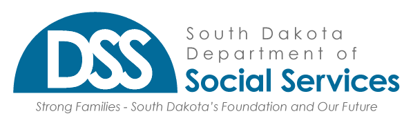 dss logo dss logo