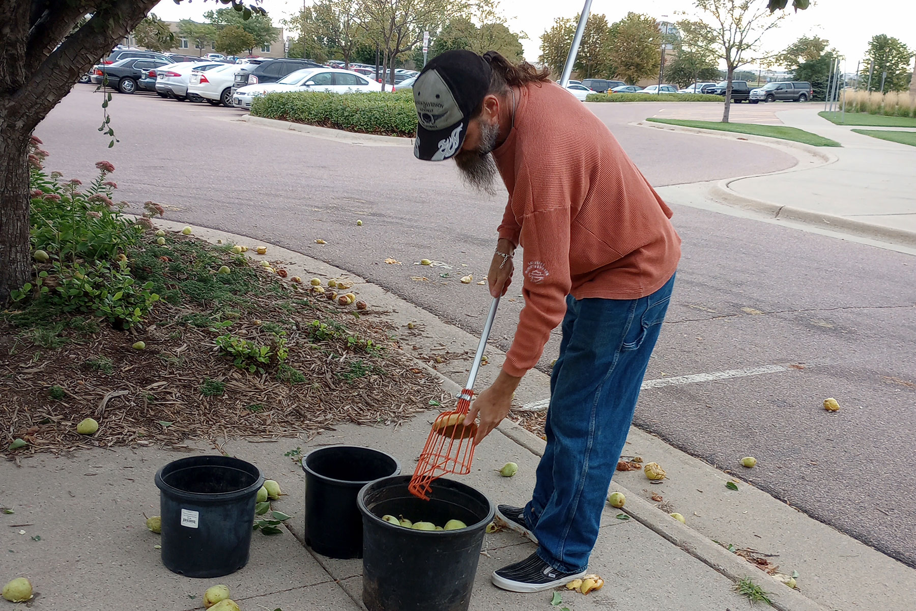 man putting pears in a bucket using a picker