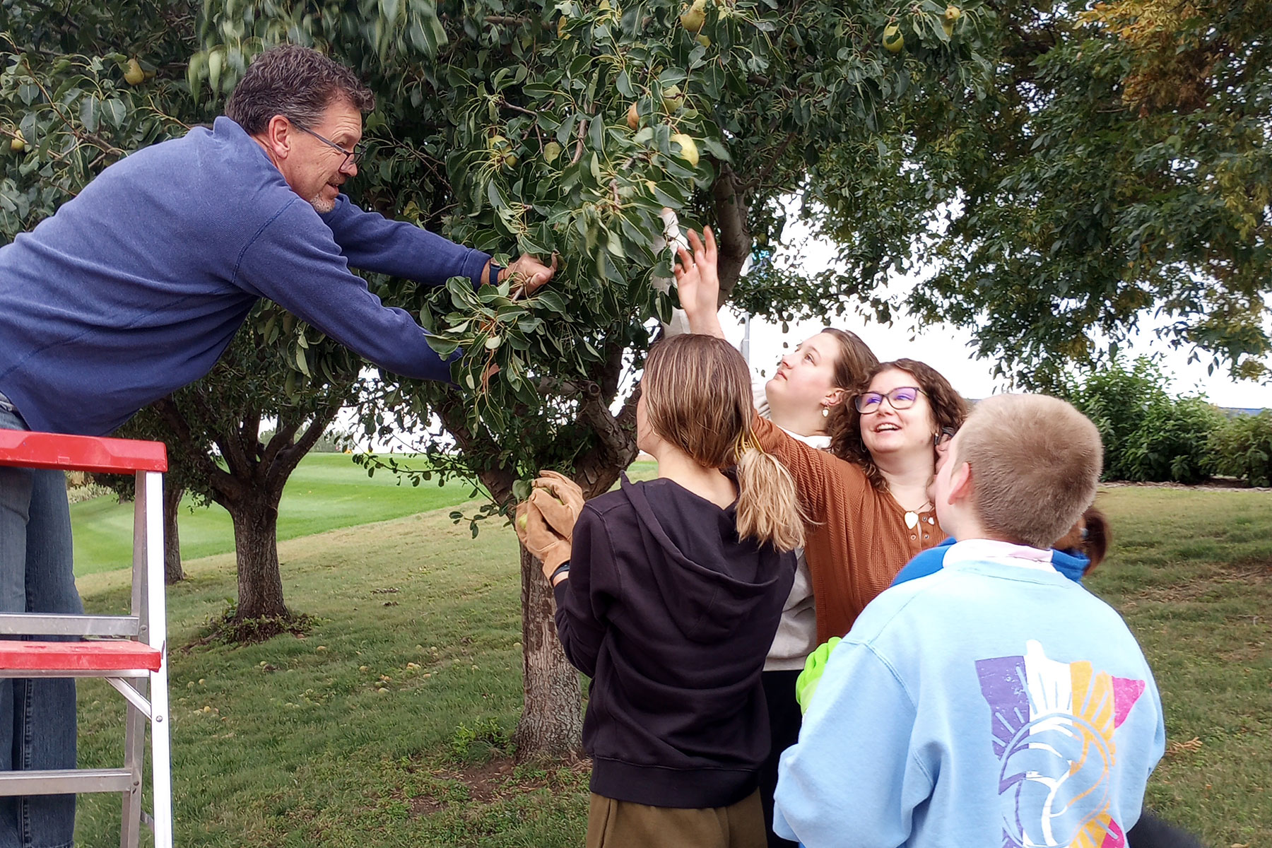 Group reaching in trees for fruit