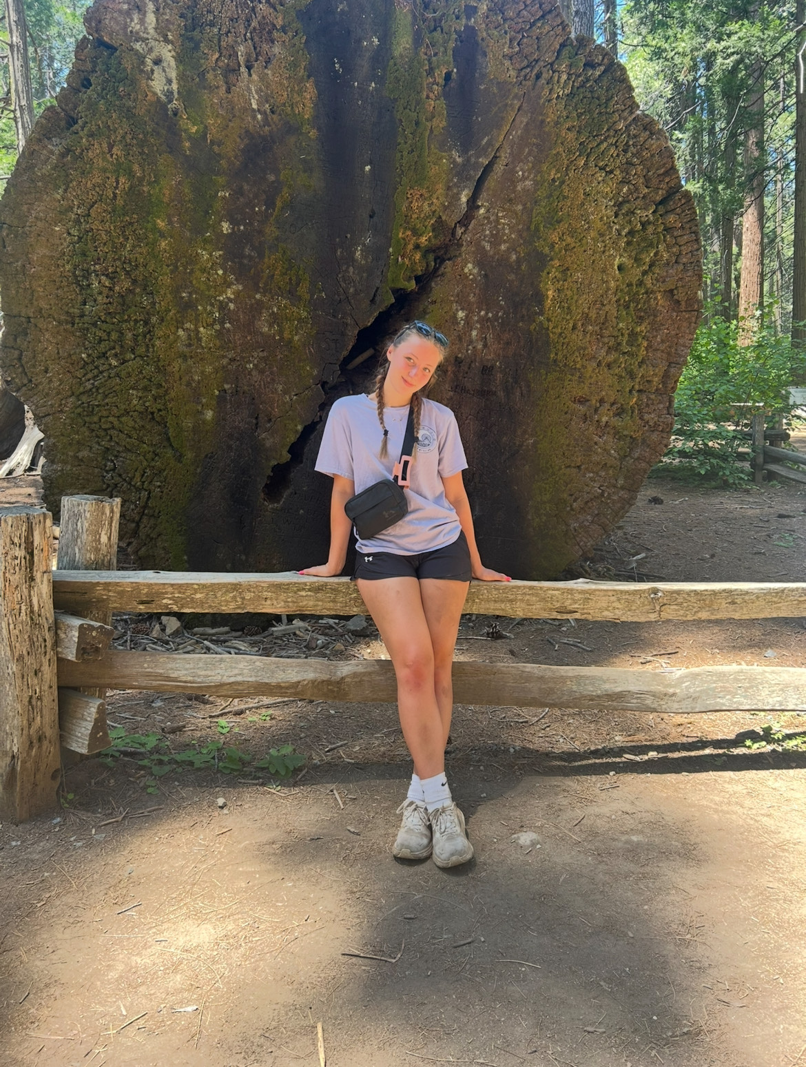 Taylor Hansen, Cardiovascular Sonography