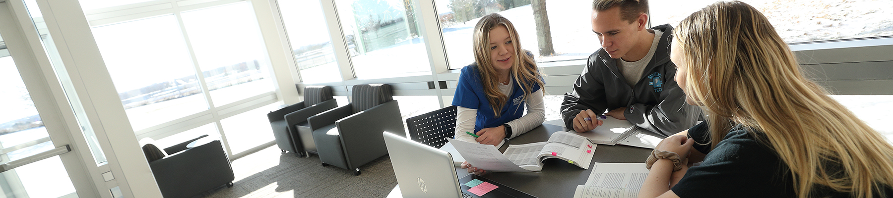 Students in sunny study area