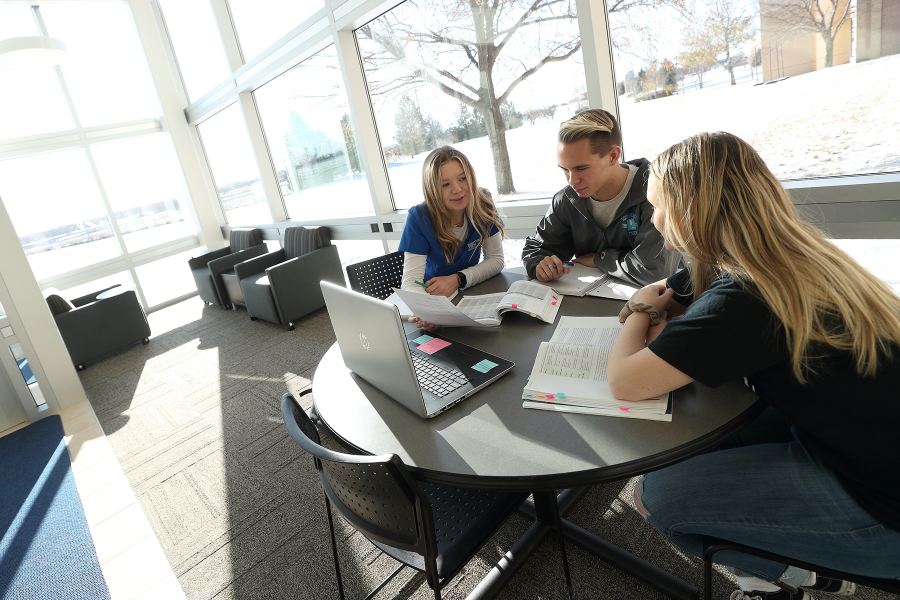 Two students studying in sunny room with windows