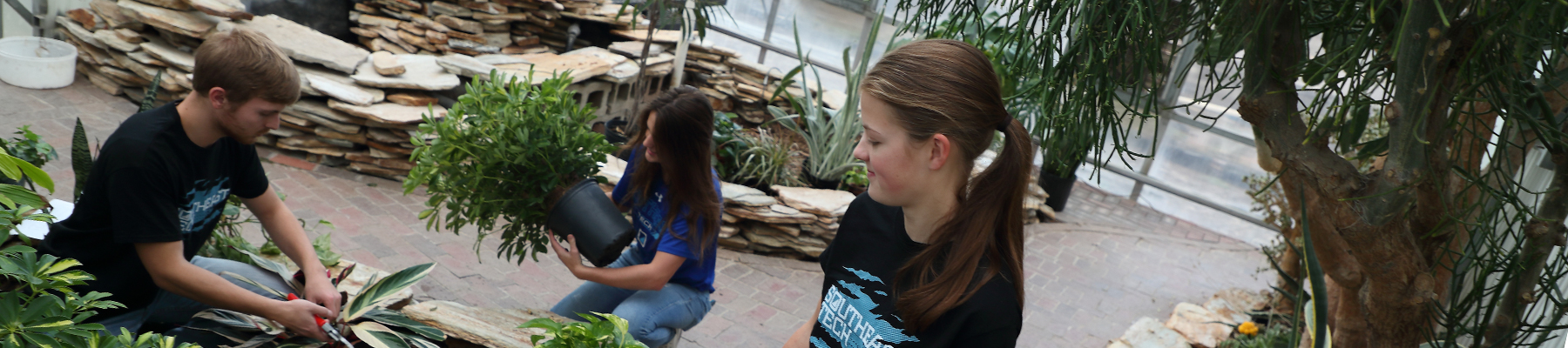 Horticulture students working in greenhouse