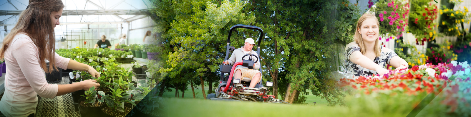 Female student tending to plants in greenhouse while male student is managing the greenway outside