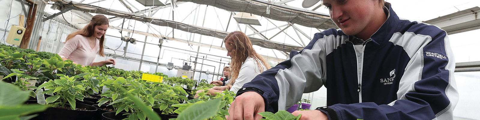 Student examining plant on greenhouse table