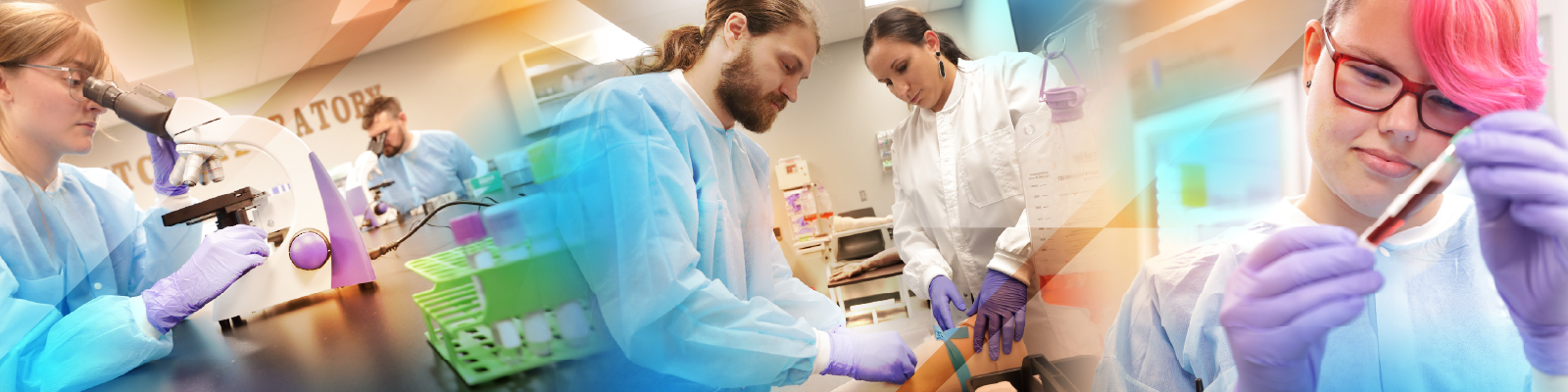 Southeast Tech medical lab students practicing blood draws and studying labs through a microscope.