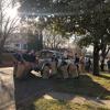 STC students, staff and faculty volunteers participate in the Rake the Town event. 
