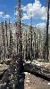 Breanna Clark's experience with AmeriCorps in California-7